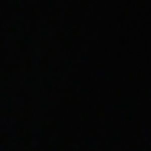 Meet your Posher, Bella